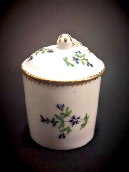 Paris



Porcelain covered cylindrical ointment...