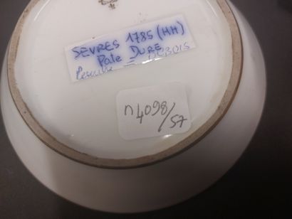 Sevres



Hard porcelain cup and saucer of...