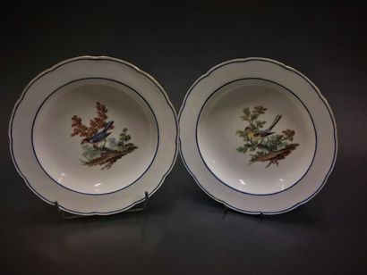 Sevres



Two soft porcelain soup plates...