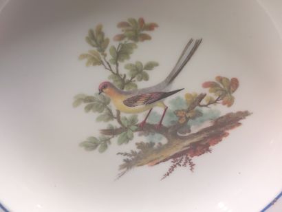 Sevres



Two soft porcelain soup plates...