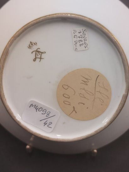 Sevres



Hard porcelain cup and saucer of...