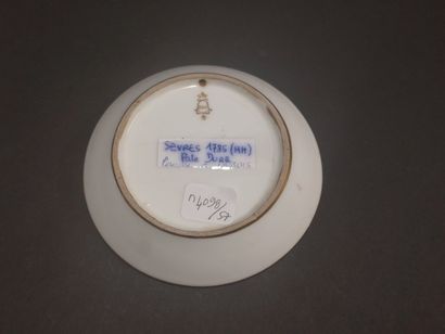 Sevres



Hard porcelain cup and saucer of...