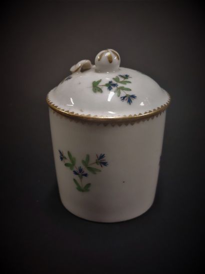 Paris



Porcelain covered cylindrical ointment...