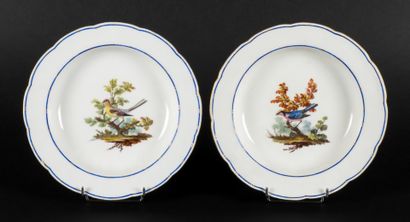 Sevres



Two soft porcelain soup plates...