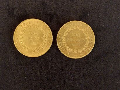 2 coins of 100Fr gold Genie, 3rd Republic...