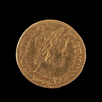 LOUIS XIV 

1/2 Louis d'or à la mèche courte...