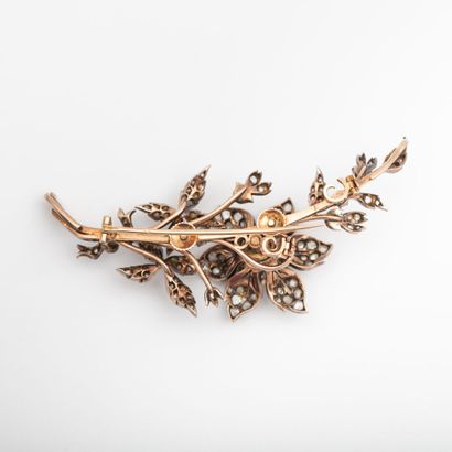Brooch 