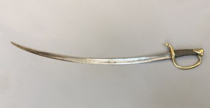 Mounted artillery troop saber model 1829....