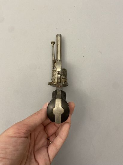 Two small revolvers system Lefaucheux in...