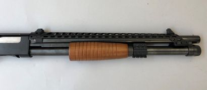 Fusil à pompe Winchester Defender modèle...