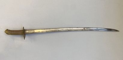 Revolutionary saber called 