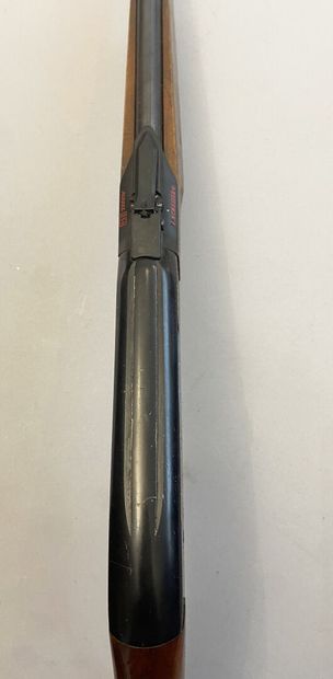 Carabine à levier de sous-garde Winchester...