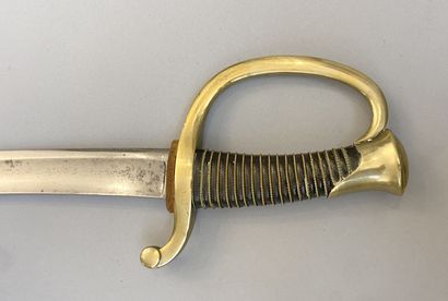Mounted artillery troop saber model 1829....