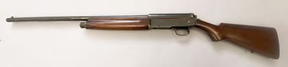 Fusil semi-automatique Winchester SL 1911...