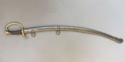 Mounted artillery troop saber model 1829....