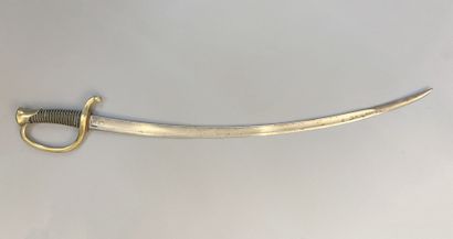 Mounted artillery troop saber model 1829....