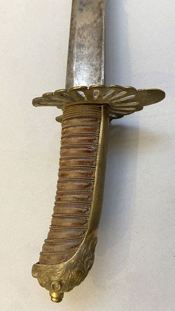 Revolutionary saber called 