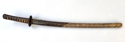 Joli wakizashi époque Edo. Ligne de trempe...