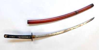 Joli katana. Lame courbe (Koshizori) étroite...