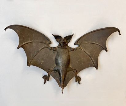 Epoustouflante représentation d'une chauve-souris...