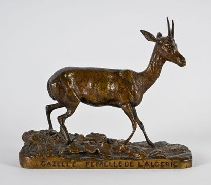 Pierre-Jules MENE (1810-1879)
Gazelle femelle...