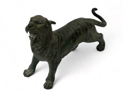 Tigre rugisssant.
Sculpture en bronze patine...