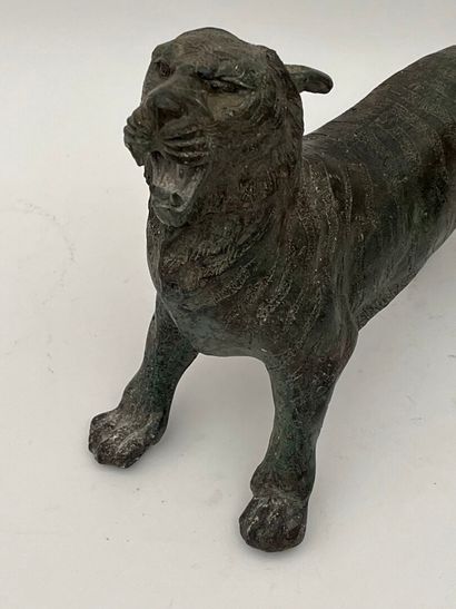 Tigre rugisssant.
Sculpture en bronze patine...
