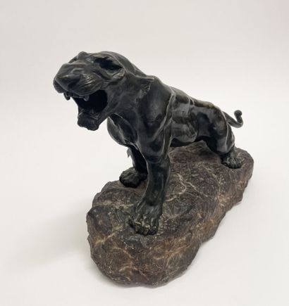 Nino de FIESOLE (XIXe-XXe)
Lionne rugissant...