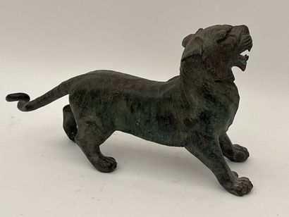 Tigre rugisssant.
Sculpture en bronze patine...