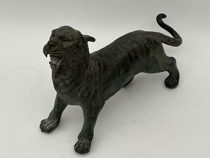 Tigre rugisssant.
Sculpture en bronze patine...