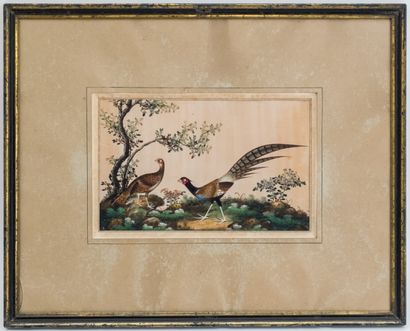 ECOLE CHINOISE fin XIXe
Faisans dans un paysage...
