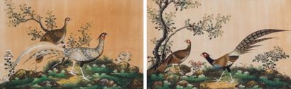 ECOLE CHINOISE fin XIXe
Faisans dans un paysage...