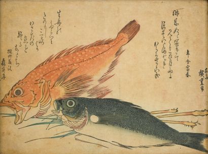 D'après Utagawa HIROSHIGE
Kasago et Isaki
Estampe...