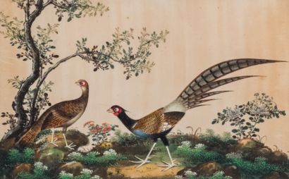 ECOLE CHINOISE fin XIXe
Faisans dans un paysage...