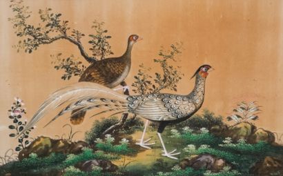 ECOLE CHINOISE fin XIXe
Faisans dans un paysage...