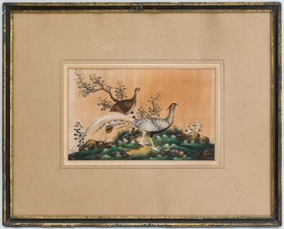 ECOLE CHINOISE fin XIXe
Faisans dans un paysage...