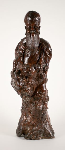 Importante racine sculptée représentant un...