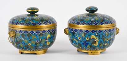 Paire de coupes couvertes en émaux cloisonnées...