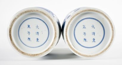 Paire de vases cornets en porcelaine blanc-bleu...
