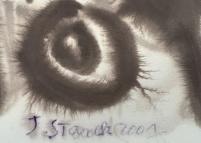 Jean STARCK (XX)
Pre-writing
Wash on paper...