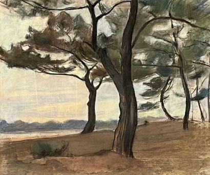 Aymeric de PANAT (1885-1965)
Ganguise lake...