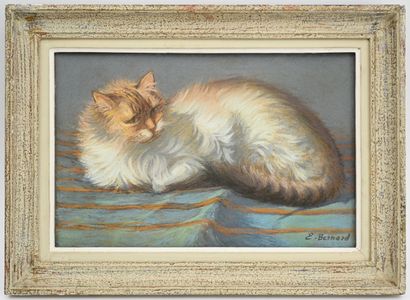 E. BERNARD (20th)
Cat
Pastel signed lower...