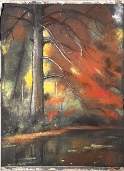 Aymeric de PANAT (1885-1965)
Undergrowth
Three...