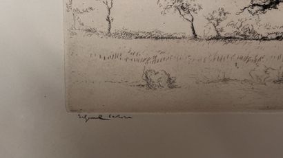 Edgar CHAHINE (1874-1947)
Anglet, cork oak
Etching...