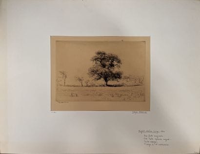 Edgar CHAHINE (1874-1947)
Anglet, cork oak
Etching...