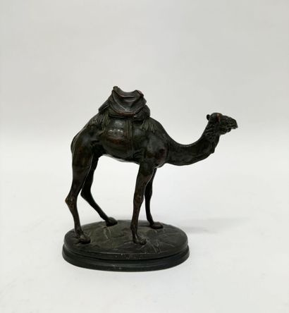Based on Alfred BARYE
Camel
Signed bronze...