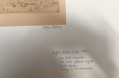 Edgar CHAHINE (1874-1947)
Anglet, cork oak
Etching...