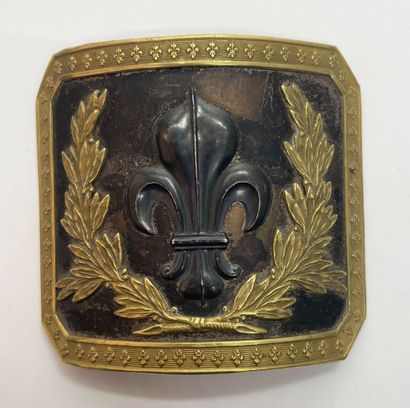Beautiful rectangular cut-side belt plate...