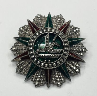 Brooch featuring a knight's star from the...