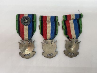 Lot of commemorative medals (9) on the theme...